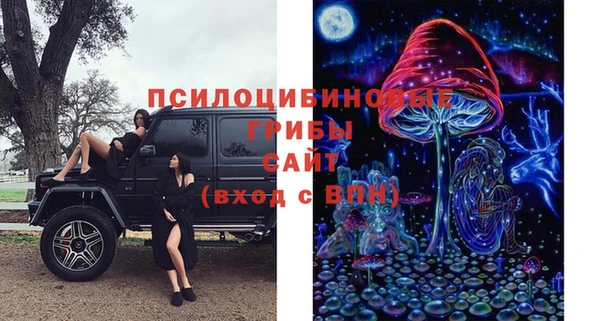 молекула духа Абинск