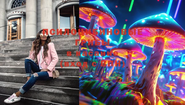 PSILOCYBIN Алексеевка