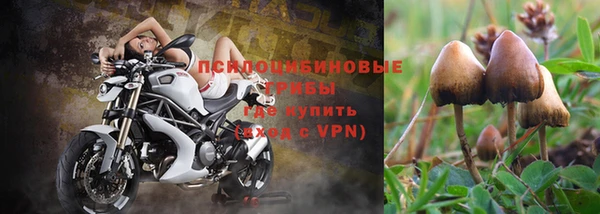 молекула духа Абинск