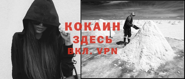 молекула духа Абинск