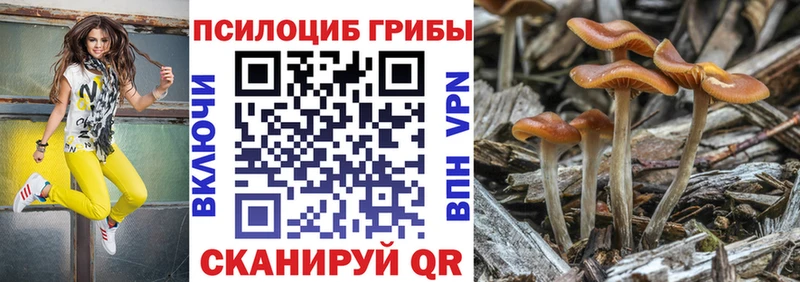 где купить наркоту Луга Галлюциногенные грибы MAGIC MUSHROOMS